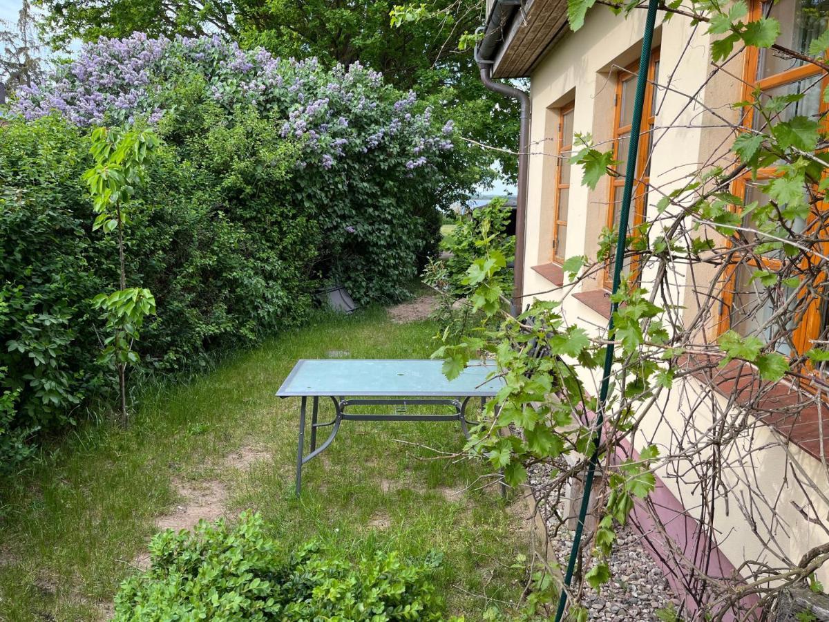 "Villa Seeheim" Ferienobjekt Direkt Am Wasser Ovs 692 Gustow  エクステリア 写真